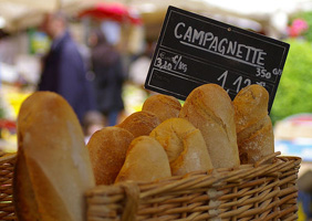 GastroBurgundy1
