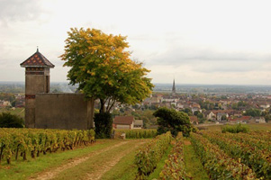 GastroBurgundy4