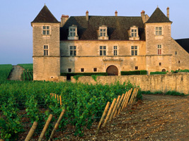 GastroBurgundy6